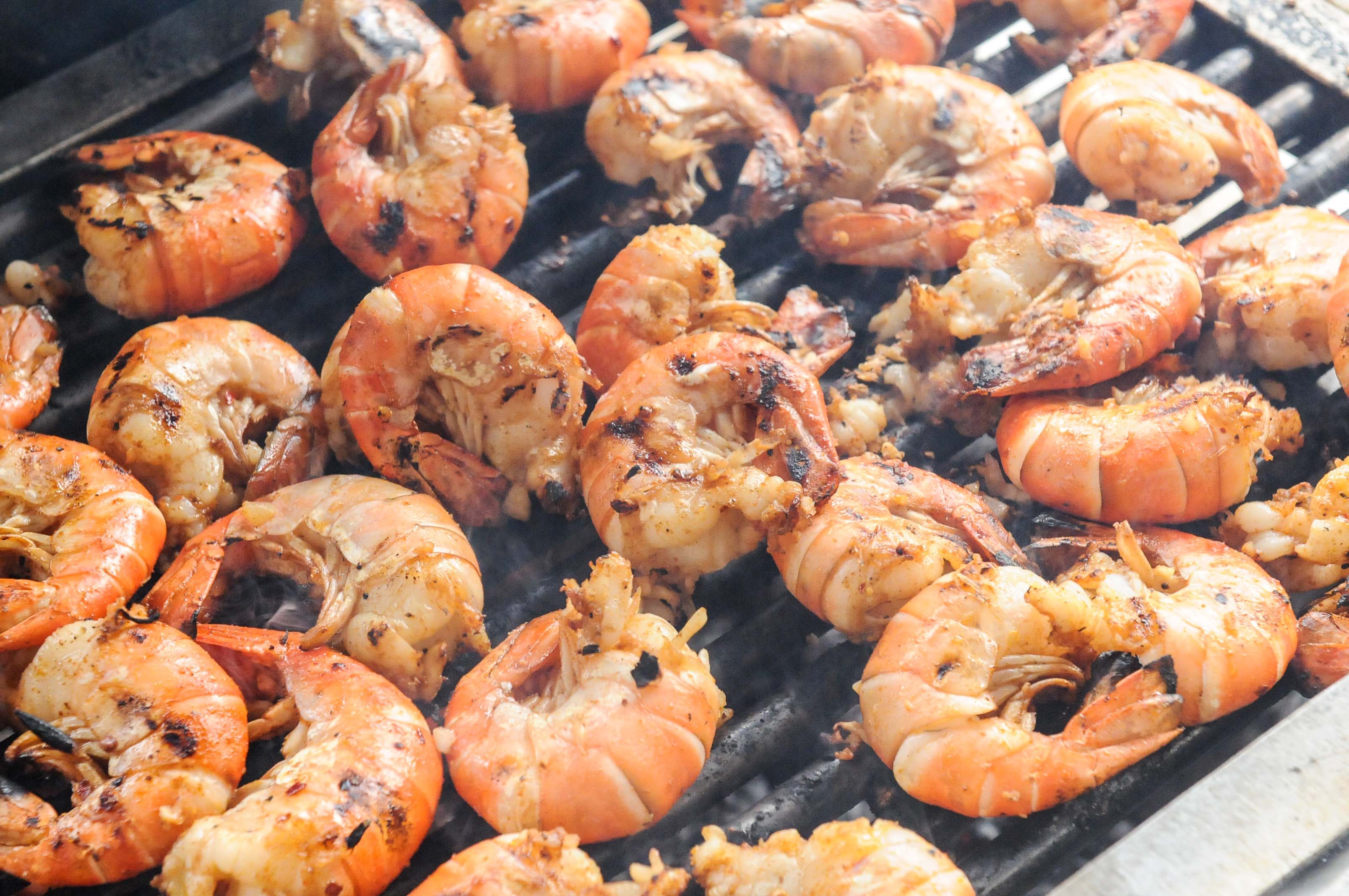 TheBBQking-2091-247